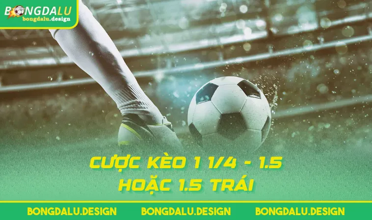 cuoc keo 1 1 4 1 5 hoac 1 5 trai Cược kèo 1 1/4 - 1.5 hoặc 1.5 trái